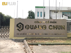 Thi công logo công ty