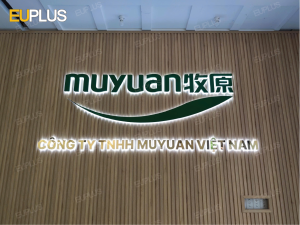 Thi công backdrop logo