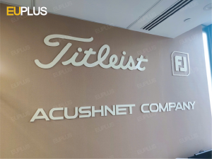 Mẫu logo công ty bằng mica