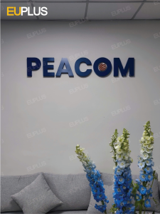 Lắp đặt logo chữ nổi